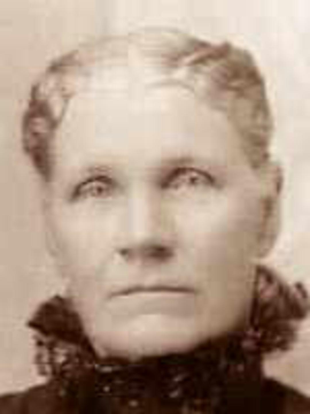 Rebecca Hill (1844 - 1922) Profile